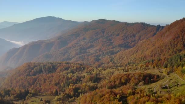 Prachtig Uitzicht Vanaf Een Drone Die Overdag Het Kleurrijke Bos — Stockvideo