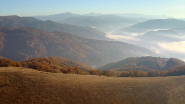 Einem Sonnigen Tag Fliegt Eine Drohne Über Die Beschaulichen Herbstberge — Stockvideo