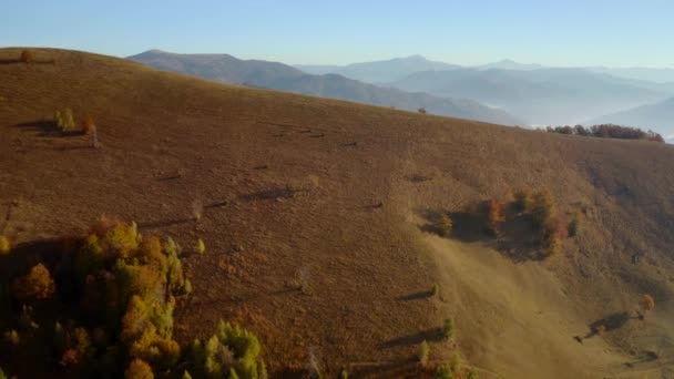 Einem Sonnigen Tag Fliegt Eine Drohne Über Die Beschaulichen Herbstberge — Stockvideo