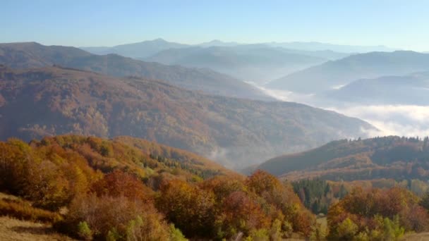 Einem Sonnigen Tag Fliegt Eine Drohne Über Die Beschaulichen Herbstberge — Stockvideo