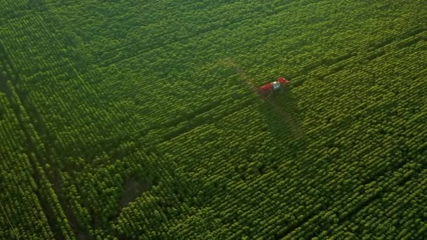Vista Panorámica Desde Dron Volando Sobre Tractor Rociando Campos Verdes — Vídeos de Stock