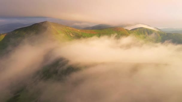 Drone Vliegt Mist Die Bergen Bedekt Het Ochtendlicht Gefilmd Drone — Stockvideo