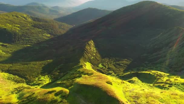 Attractive Scene Green Mountain Range Sunny Day Bird Eye View — Stock Video