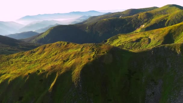 Κηφήνας Πετά Πάνω Από Τους Πράσινους Λόφους Φωτίζεται Από Τον — Αρχείο Βίντεο