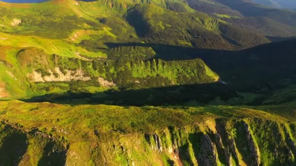 Malerischer Blick Von Der Drohne Auf Grüne Almwiesen Einem Sonnigen — Stockvideo