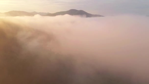 鸟瞰着覆盖在群山之上的浓雾 景色十分壮观 乌克兰喀尔巴阡山脉 电影空中拍摄 地球的美丽 以4K 无人驾驶视频拍摄 — 图库视频影像