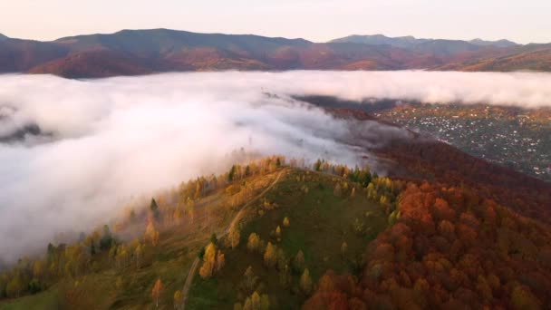 Drone Vole Dessus Épais Brouillard Matinal Qui Couvrait Les Chaînes — Video