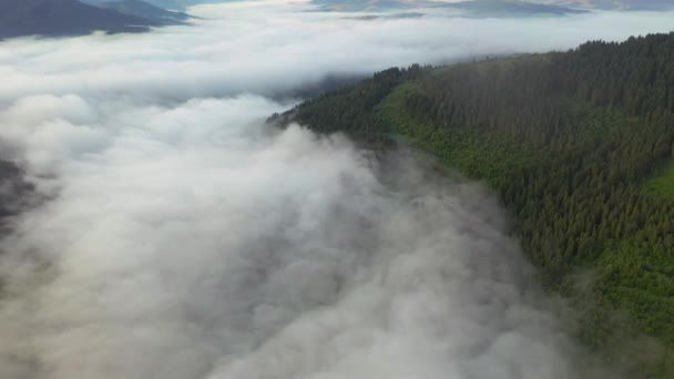 ドローンは山の谷を覆う濃い霧の上を飛ぶ 場所カルパチア山脈 ウクライナ ヨーロッパ 空中での撮影 世界の美しさを探る 4Kで撮影されたドローンビデオ — ストック動画