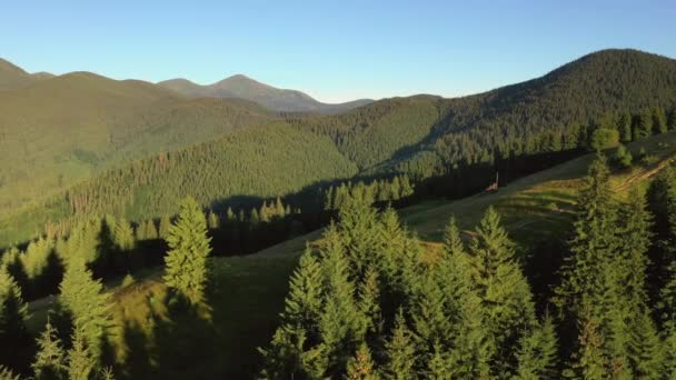 Cena Montanha Espetacular Dia Ensolarado Prados Alpinos Filmado Vídeo Drone — Vídeo de Stock