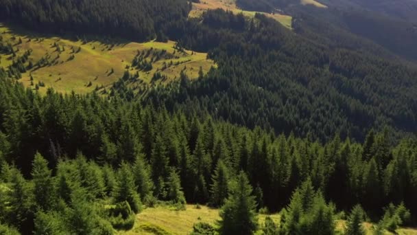 Vue Imprenable Sur Les Montagnes Les Forêts Vertes Par Une — Video