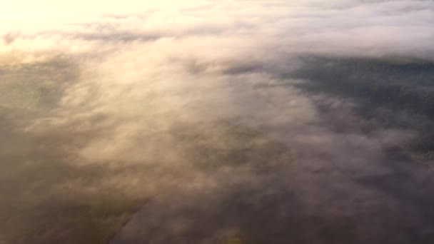 Disparando Desde Dron Nebuloso Paisaje Matutino Río Dniester Filmado Drone — Vídeos de Stock