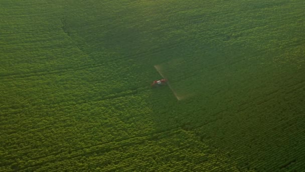 トラクターの緑のフィールドを噴霧上を飛ぶ無人機からの風景 撮影4K ドローンビデオ — ストック動画