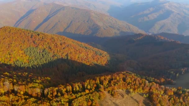 Vista Fantástica Drone Voando Sobre Floresta Colorida Dia Filmado Vídeo — Vídeo de Stock