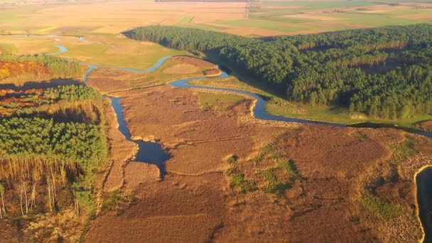 Vista Atraente Drone Voando Sobre Rio Sinuoso Dia Ensolarado Filmado — Vídeo de Stock
