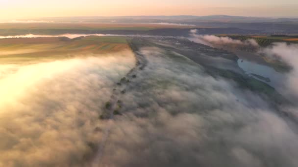 Drone Voando Sobre Cena Rural Tirar Fôlego Terras Agrícolas Fotografia — Vídeo de Stock