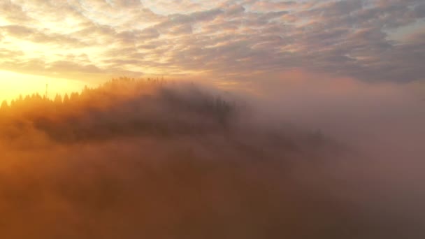 Paprscích Ranního Světla Pokrývá Hory Živá Hustá Mlha Natočeno Drone — Stock video