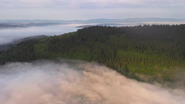 Drone Voa Sobre Denso Nevoeiro Que Cobriu Vale Montanha Localização — Vídeo de Stock