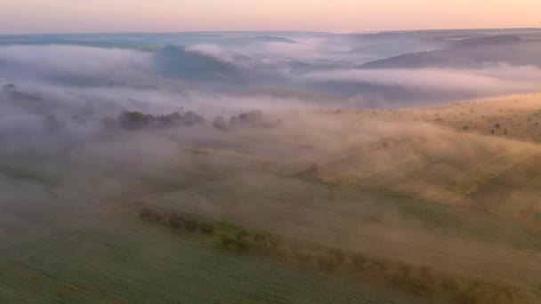Drone Vuela Sobre Una Fresca Niebla Matutina Que Cubría Las — Vídeos de Stock