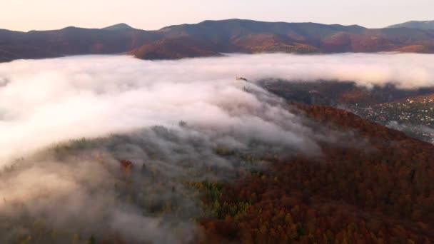 Drone Terbang Atas Kabut Pagi Tebal Yang Menutupi Pegunungan Difilmkan — Stok Video