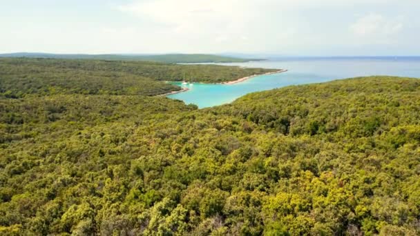 Drone Vliegt Azuurblauwe Baai Met Zeilboten Zonnige Dag Gefilmd — Stockvideo