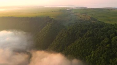 Sisle kaplı dramatik bir ormanın üzerinde bir dron uçuyor. 4k, İHA videosu ile çekilmiştir..