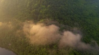 Sisle kaplı dramatik bir ormanın üzerinde bir dron uçuyor. 4k, İHA videosu ile çekilmiştir..