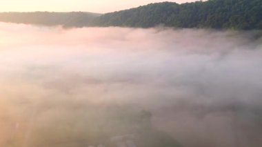 Sisle kaplı dramatik bir ormanın üzerinde bir dron uçuyor. 4k, İHA videosu ile çekilmiştir..