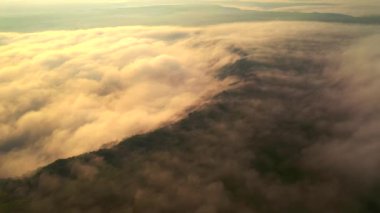 Güneş tarafından aydınlatılan kalın bir sis şafak vakti tarlaları kaplar. 4k, İHA videosu.