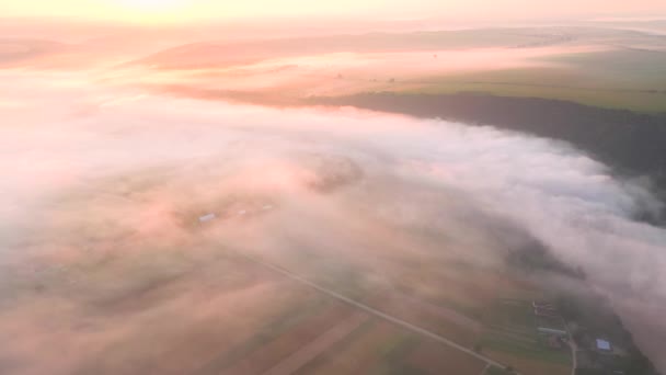 Shooting Drone Foggy Morning Landskap Dniester River Difilmkan Dalam — Stok Video