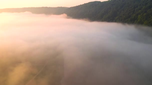 Dron Vuela Sobre Bosque Dramático Cubierto Niebla Filmado Drone Video — Vídeos de Stock
