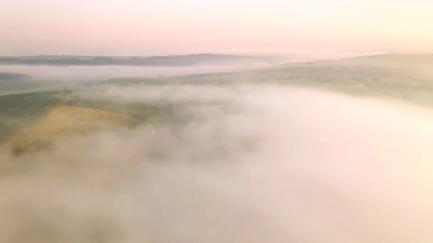 Shooting Drone Foggy Agricultural Lands Filmed Drone Video — Stock Video