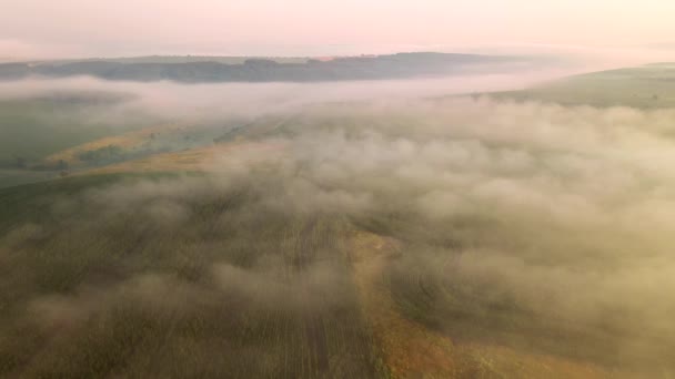 Tiroteio Zangão Terras Agrícolas Nebulosas Filmado Vídeo Drone — Vídeo de Stock