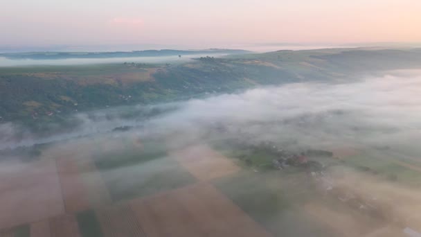 Schüsse Aus Einer Drohne Von Einem Nebelverhangenen Landwirtschaftlichen Gelände Gefilmt — Stockvideo