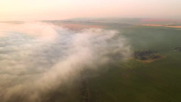 Tiroteio Zangão Terras Agrícolas Nebulosas Filmado Vídeo Drone — Vídeo de Stock