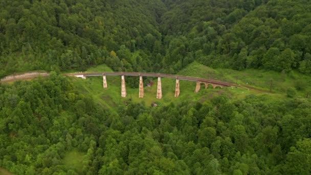 Jernbanebro Fra Fugleøyne Tett Skog Stedet Karpatene Ukraina Europa Kinematisk – stockvideo