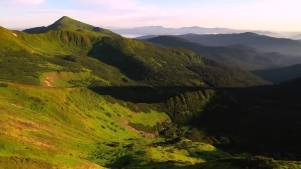 Γραφική Θέα Από Drone Πράσινα Αλπικά Λιβάδια Μια Ηλιόλουστη Μέρα — Αρχείο Βίντεο