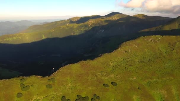 Κηφήνας Πετά Πάνω Από Τους Πράσινους Λόφους Φωτίζεται Από Τον — Αρχείο Βίντεο