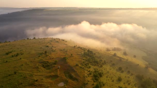 Shooting Drone Foggy Morning Landscape Dniester River Filmed Drone Video — Stock Video