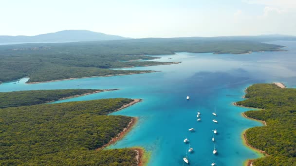 Drone Survole Baie Azur Avec Des Voiliers Par Une Journée — Video