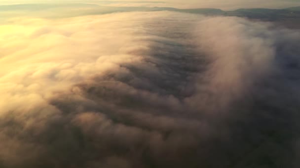 Густий Туман Освітлений Сонцем Огортає Поля Світанку Знято Безпілотне Відео — стокове відео