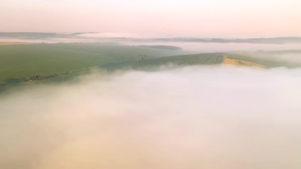 Schüsse Aus Einer Drohne Von Einem Nebelverhangenen Landwirtschaftlichen Gelände Gefilmt — Stockvideo