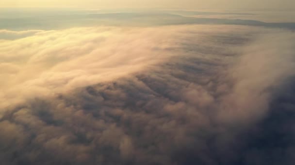 Gęsta Mgła Oświetlona Słońcem Otacza Pola Świcie Strzela Drona Zdjęcia — Wideo stockowe