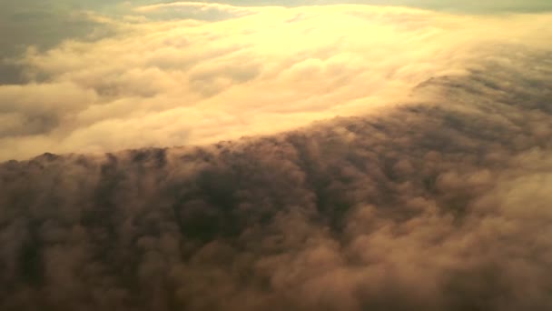 Épais Brouillard Éclairé Par Soleil Enveloppe Les Champs Aube Filmé — Video