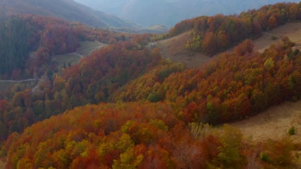 Fantastisch Uitzicht Vanaf Een Drone Die Overdag Het Kleurrijke Bos — Stockvideo