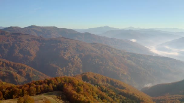 Herrlicher Blick Von Einer Drohne Die Tagsüber Über Über Den — Stockvideo