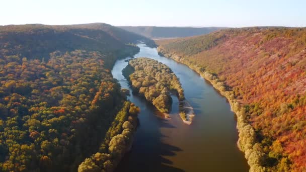 Vuelo Lento Dron Sobre Bosque Otoñal Atractivo Río Filmado Drone — Vídeos de Stock