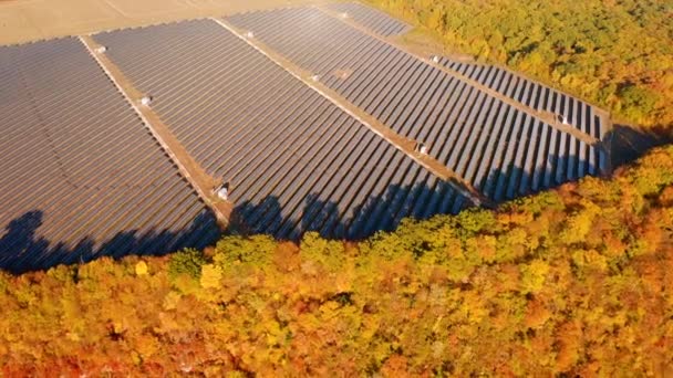Vista Superior Sobre Painéis Fotovoltaicos Energia Solar Filmado Vídeo Drone — Vídeo de Stock