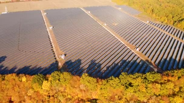 Vista Superior Los Paneles Solares Fotovoltaicos Filmado Drone Video — Vídeos de Stock