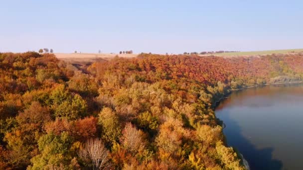 缓慢的飞越秋天的场景 前进相机的运动 从鸟瞰的角度射击 德涅斯特河峡谷 乌克兰 电影空中拍摄 地球的美丽 拍摄4K 无人驾驶视频 — 图库视频影像