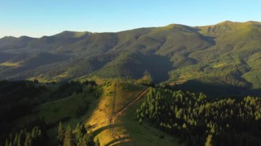 Güneşli bir günde yeşil alp çayırlarıyla muhteşem bir dağ vadisi. Karpat Dağları, Ukrayna, Avrupa. Sinematik hava çekimi. Toprağın güzelliğini keşfedin. 4k, İHA videosu ile çekilmiştir..